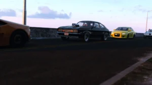 Race of Life